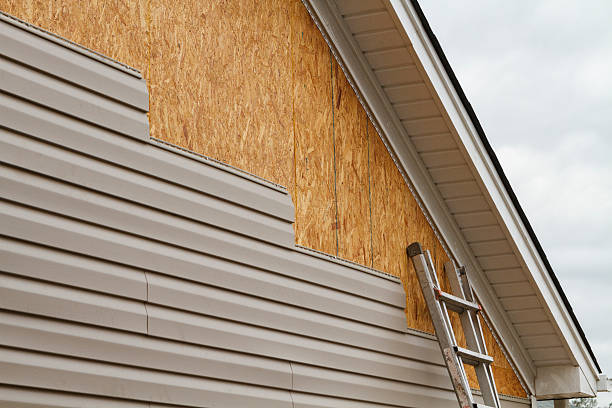 Professional Siding Replacement technician working in Holiday, FL